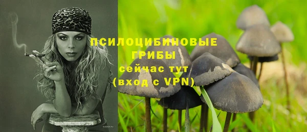дживик Гатчина