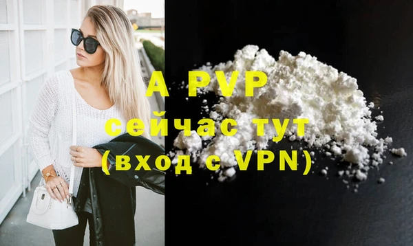стаф Галич
