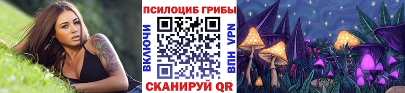 Галлюциногенные грибы Magic Shrooms  купить  цена  Новая Ладога 